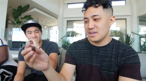 Paco rhpc - It really seems like Ryan fired Paco. Still, real sad that RHPC is hemorrhaging members one after the other. Derek, Greg, and Daina are the only remaining "OG" members besides Ryan. I guess good things can't last forever. I wonder if the channels' (both NigaHiga and HigaTV) retirement are in the near future. 58. 